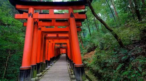  “Learning From Nara: A Journey Through Ancient Japan” – Unlocking Timeless Wisdom and Unveiling Cultural Treasures